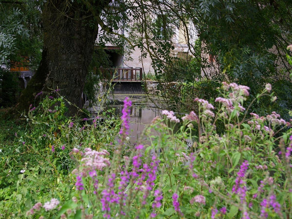 Moulin en Berry avec étang privé et barque - Photo 33