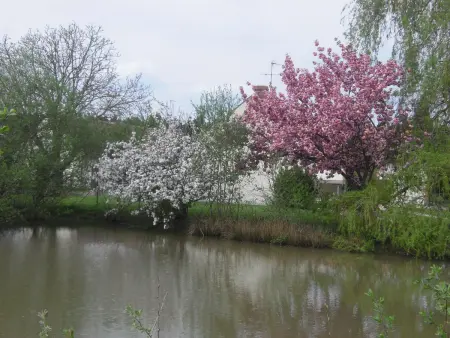Gîte Sologne 4 pers., jardin privatif près Val de Loire : photo 17