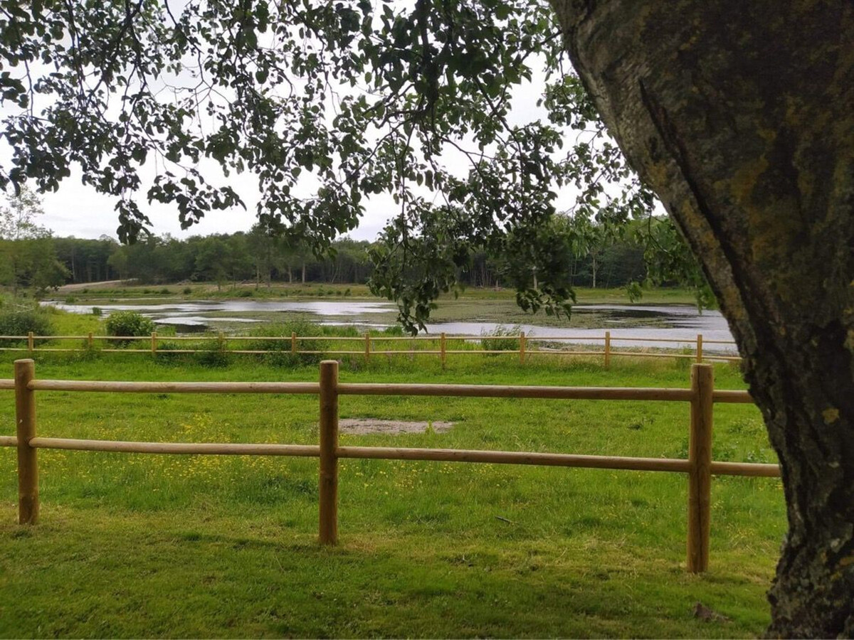 Gîte 15 pers. avec piscine, tennis et étang au Le Lude - Photo 7