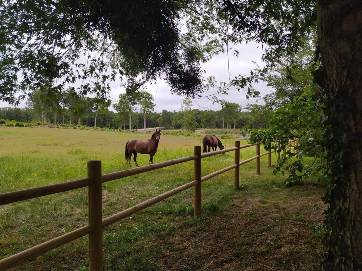 Gîte 15 pers. avec piscine, tennis et étang au Le Lude - Photo 31
