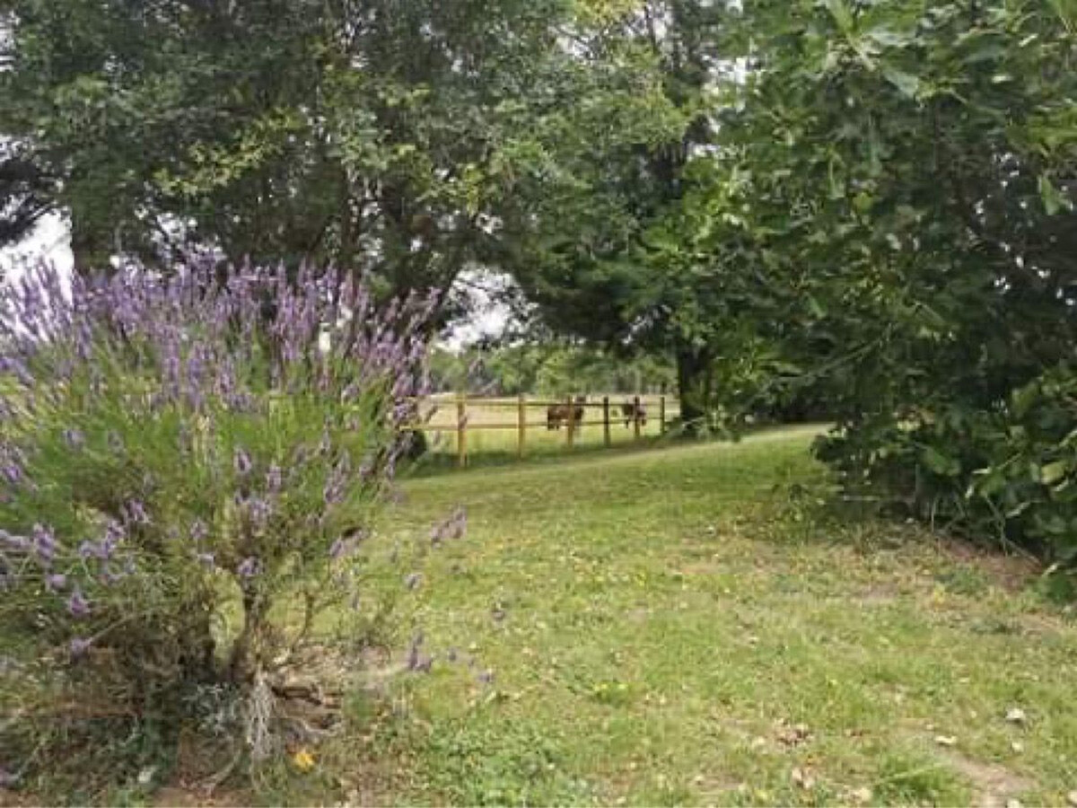 Gîte 15 pers. avec piscine, tennis et étang au Le Lude - Photo 34