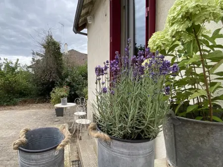 La Maison de ma Tante, gîte face au parc à Moulins : photo 20