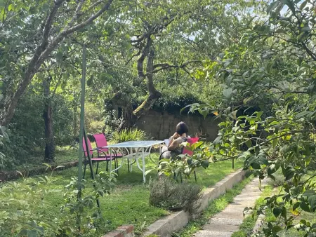La Maison de ma Tante, gîte face au parc à Moulins : photo 23