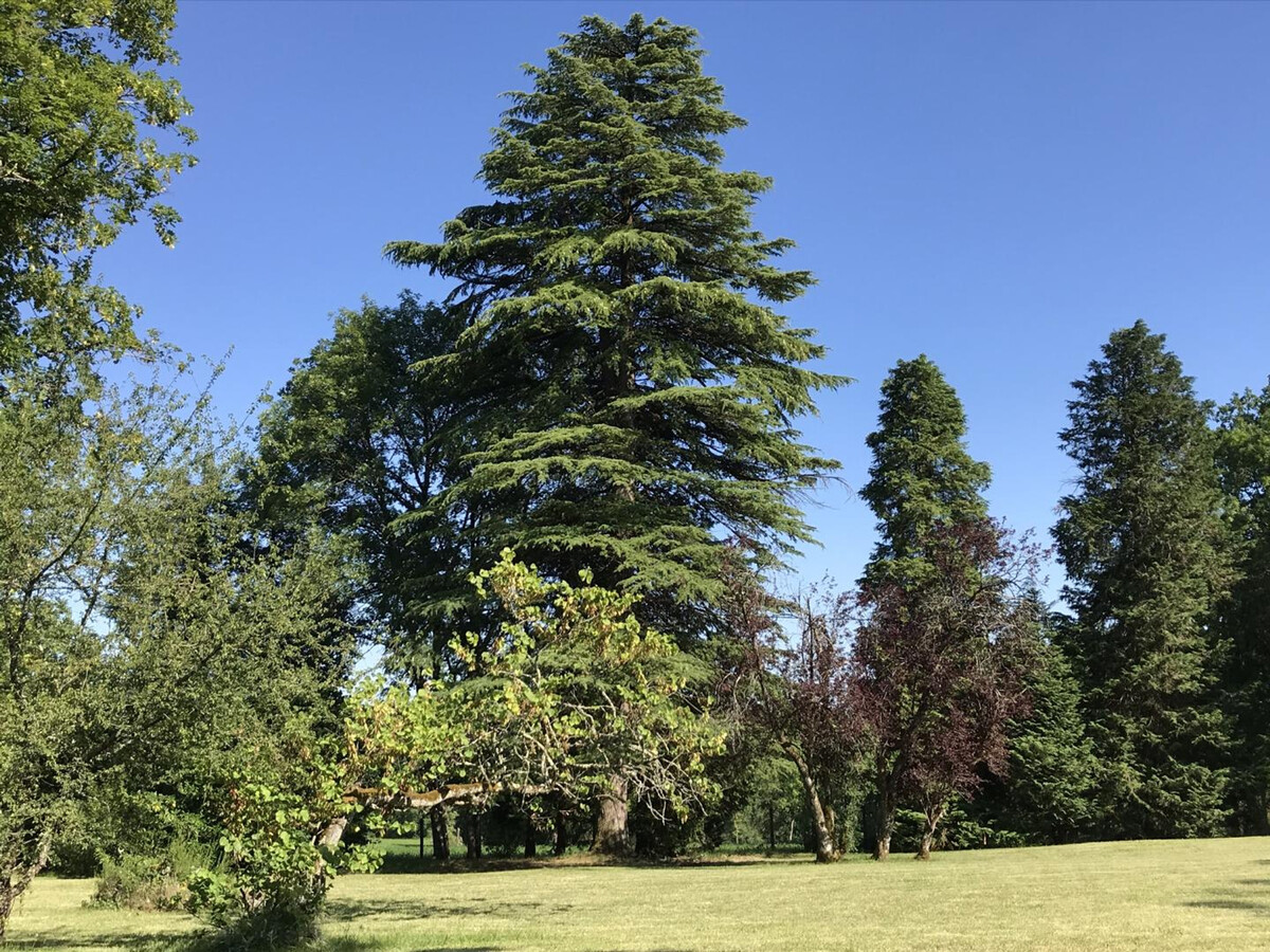 Gîte 8 pers. avec piscine privée sur 20 ha à Savignac-les-Églises - Photo 3