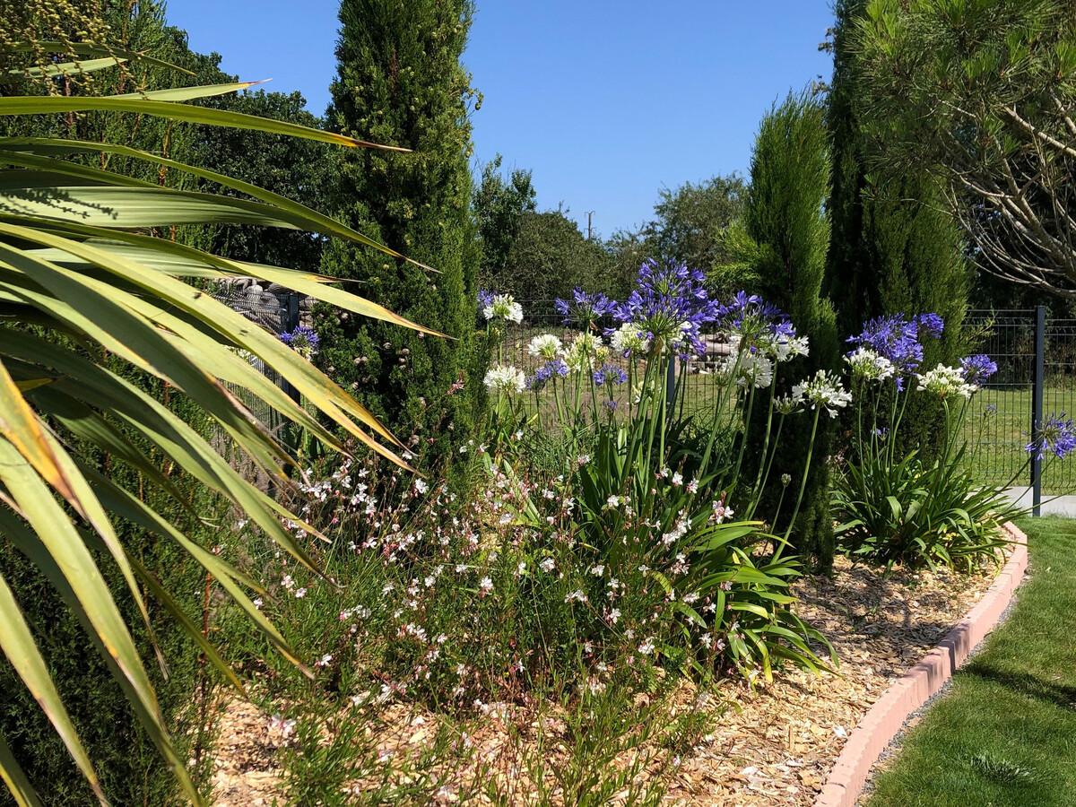 Gîte ferme rénové 6 pers. à Pornic, jardin clos - Photo 15