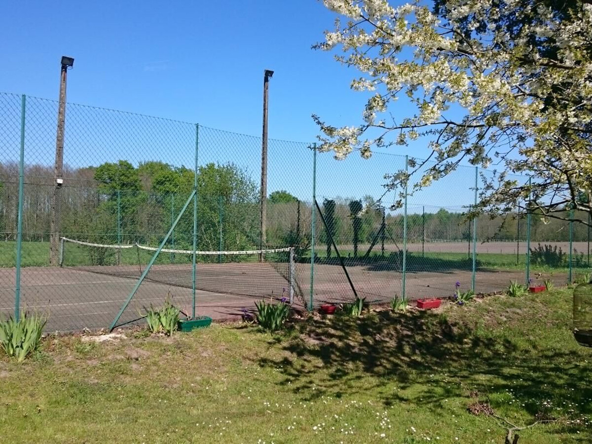 Gîte 15 pers. avec salle de jeux, tennis et cheminée - Photo 8