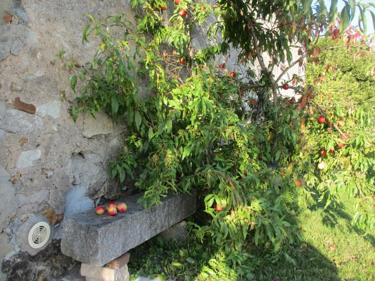 Gîte indépendant Val de Loire, 1 ch, jardin, 1,5 km Loire - Photo 19