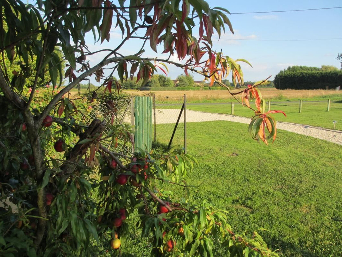Gîte indépendant Val de Loire, 1 ch, jardin, 1,5 km Loire - Photo 20