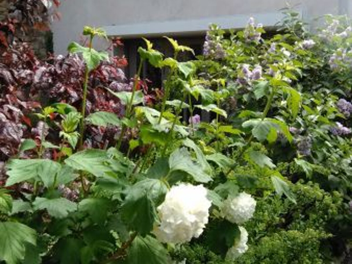 Gîte en ancienne cordonnerie, terrasse 25 m² à Tonnoy - Photo 11