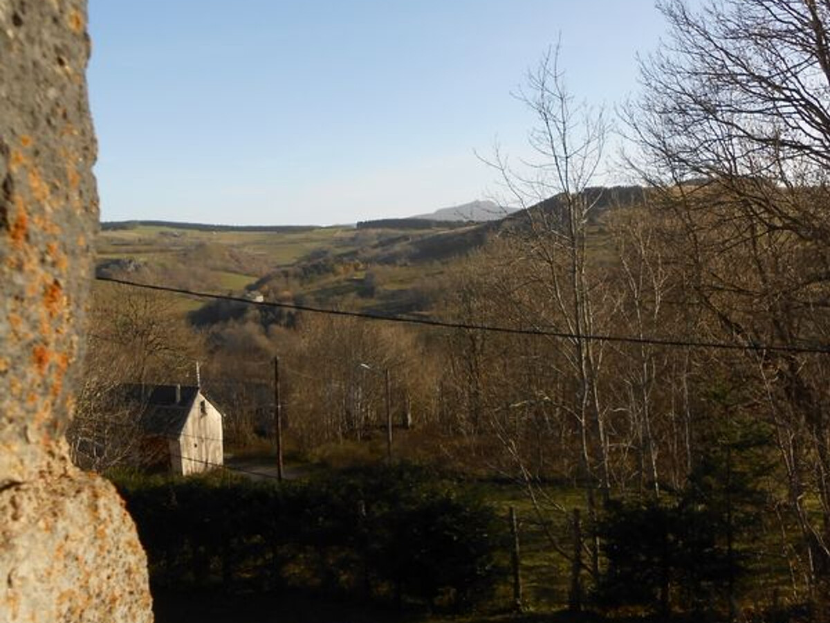 Gite en pierres avec terrain à Saint-Front, près du Mézenc - Photo 10
