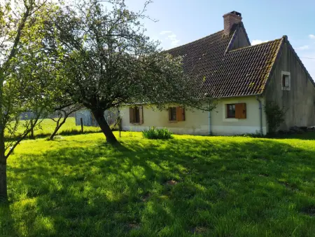 Gîte de campagne au verger à Le Chatelet : photo 11