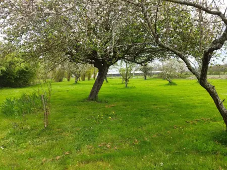Gîte de campagne au verger à Le Chatelet : photo 12