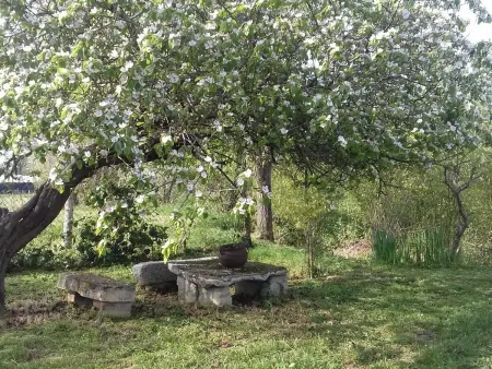 Gîte de campagne au verger à Le Chatelet : photo 13