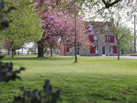 Maison chaleureuse en Normandie avec jardin arboré - Photo 28