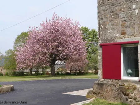 Maison chaleureuse en Normandie avec jardin arboré - Photo 33