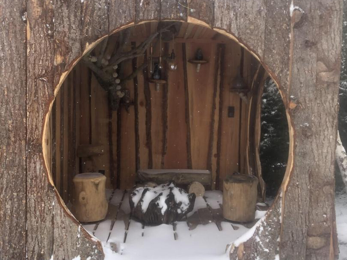 Gîte 2 chambres avec sauna et jacuzzi à Dosches - Photo 28