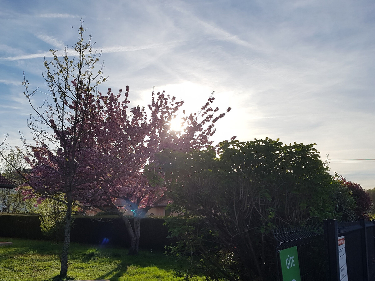 Gîte plain-pied 4 pers., jardin clos 790m², terrasse couverte - Photo 15