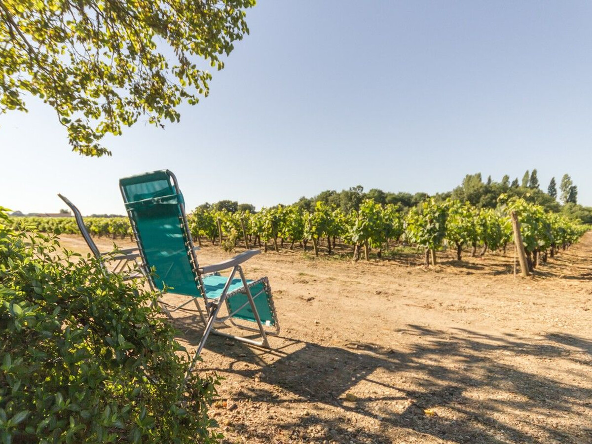 Gîte 5 pers. sur domaine viticole, cheminée, wifi - Photo 10