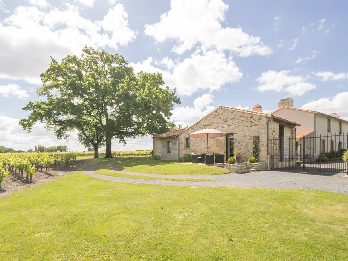 Gîte vignoble avec piscine chauffée - Château-Thébaud - Photo 13