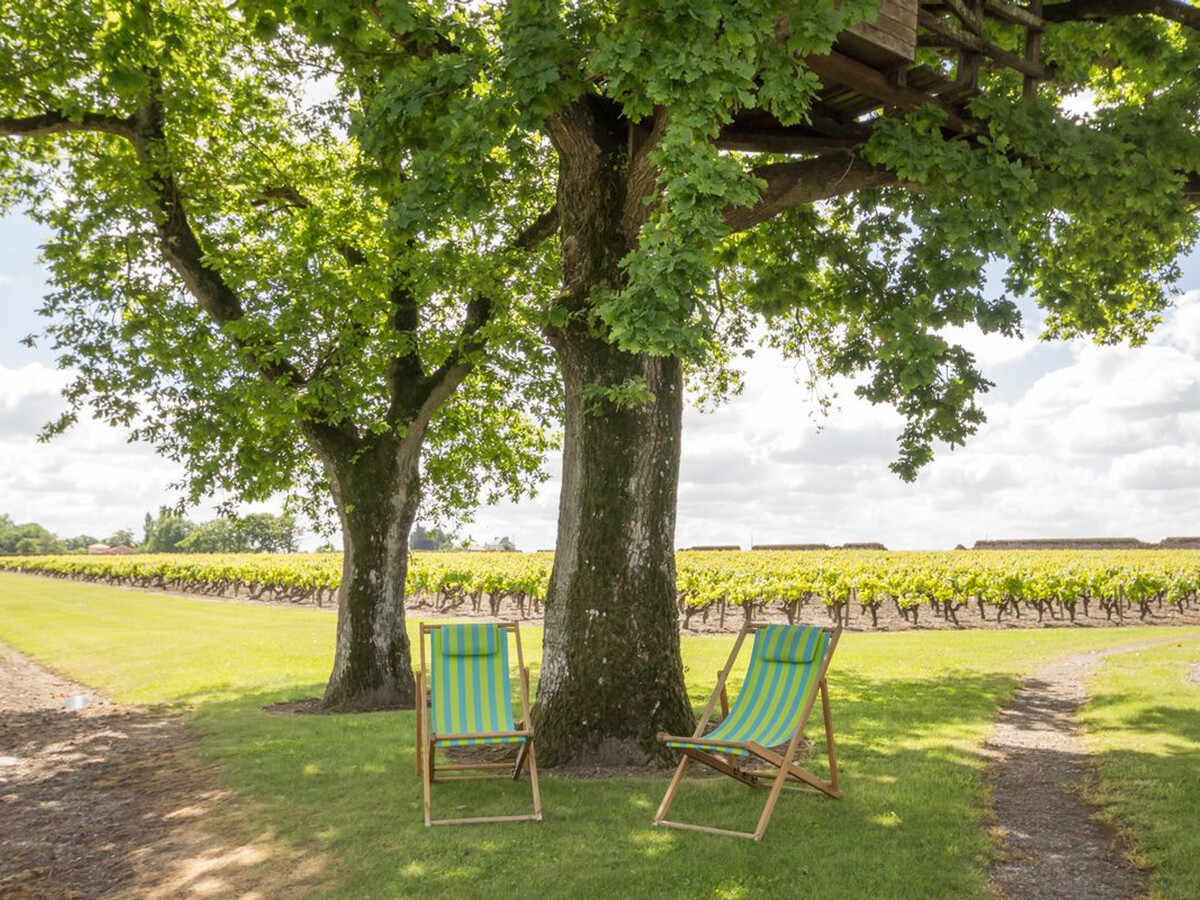 Gîte vignoble avec piscine chauffée - Château-Thébaud - Photo 14