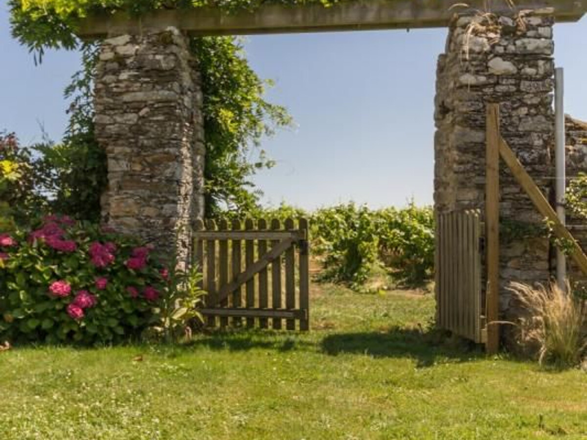 Gîte du XVe siècle aux vignes avec terrasse et vélos - Photo 12