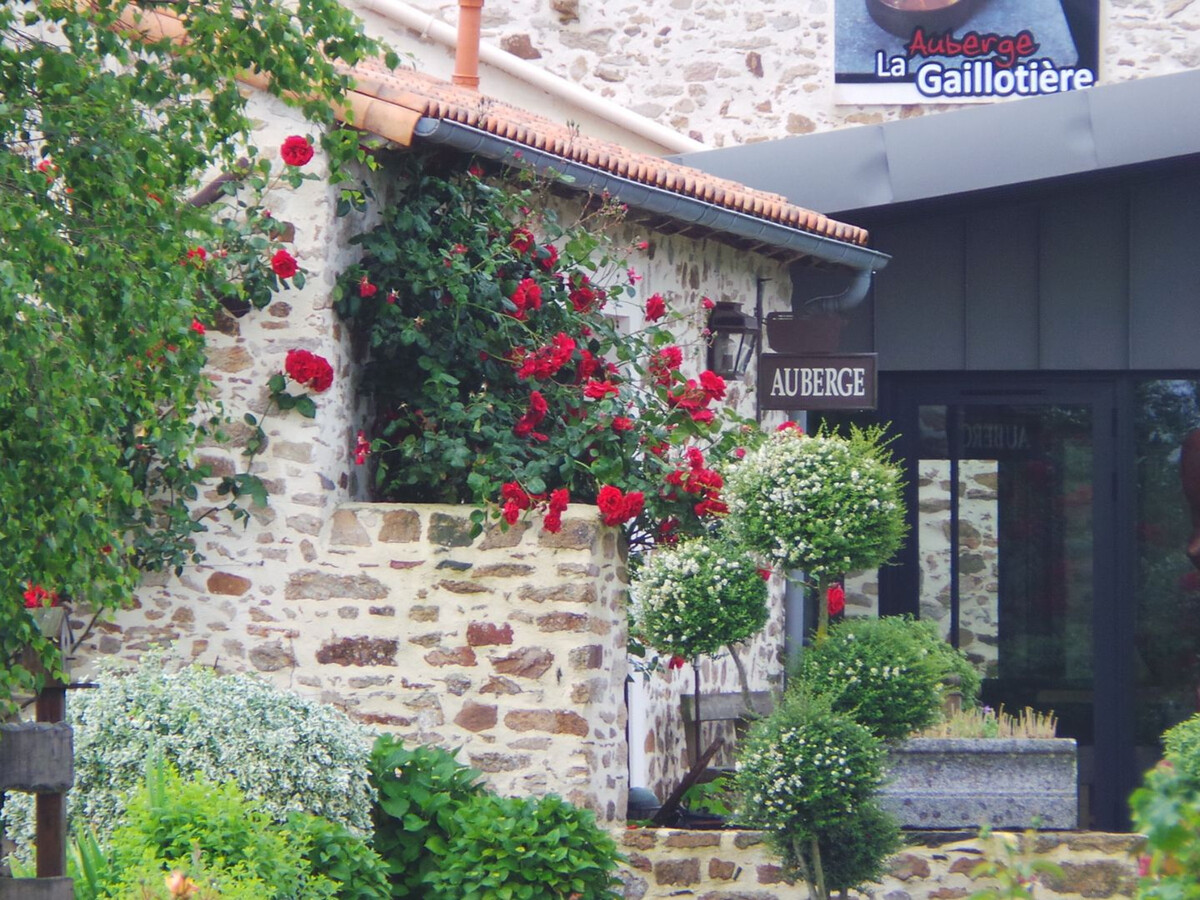 Gîte du XVe siècle aux vignes avec terrasse et vélos - Photo 15