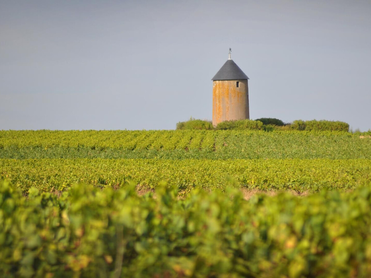 Gîte au cœur des vignes avec terrasse, Le Landreau - Photo 10