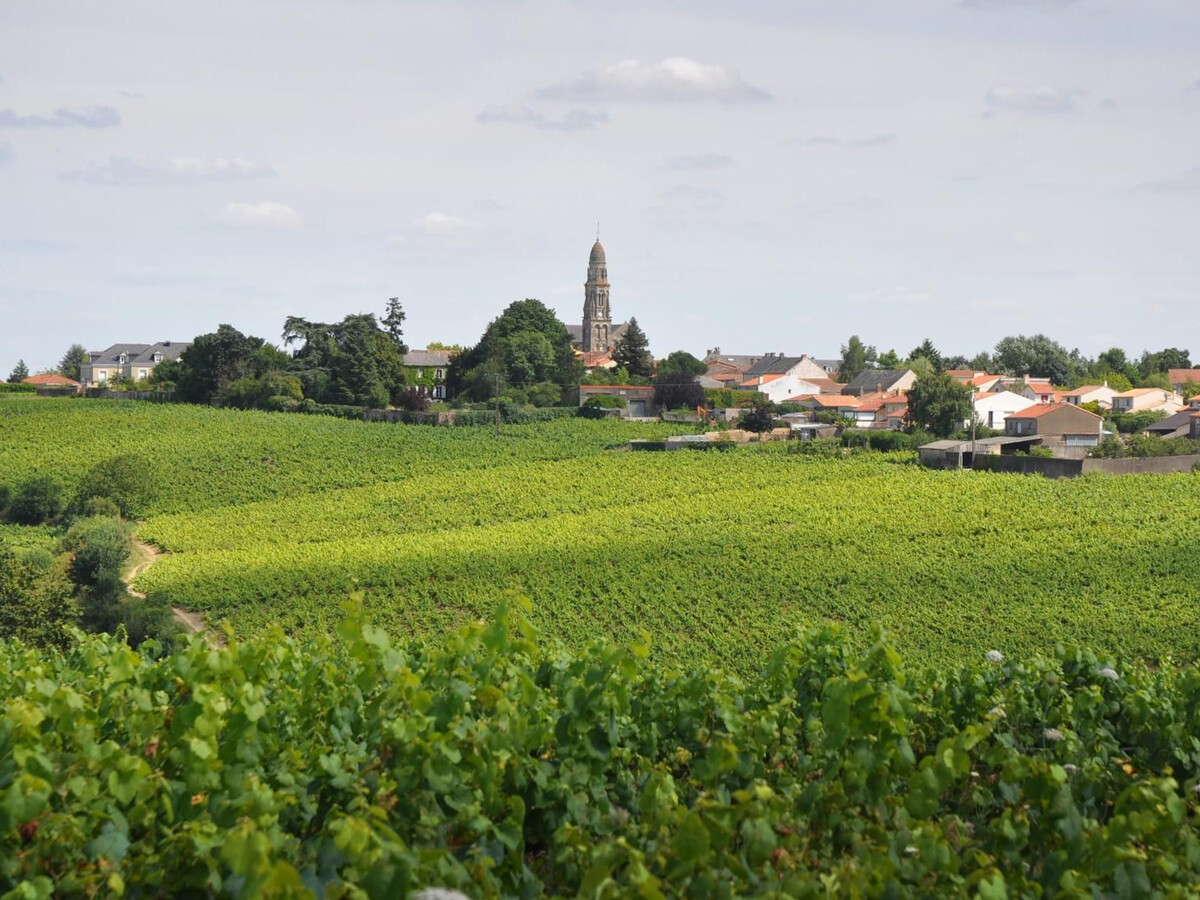 Gîte au cœur des vignes avec terrasse, Le Landreau - Photo 11