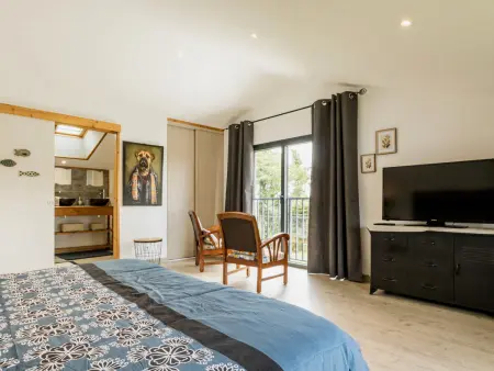 Gîte en grange rénovée, piscine et étang aux Marais Bretons : photo 6