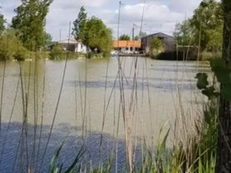 Gîte en grange rénovée, piscine et étang aux Marais Bretons : photo 21