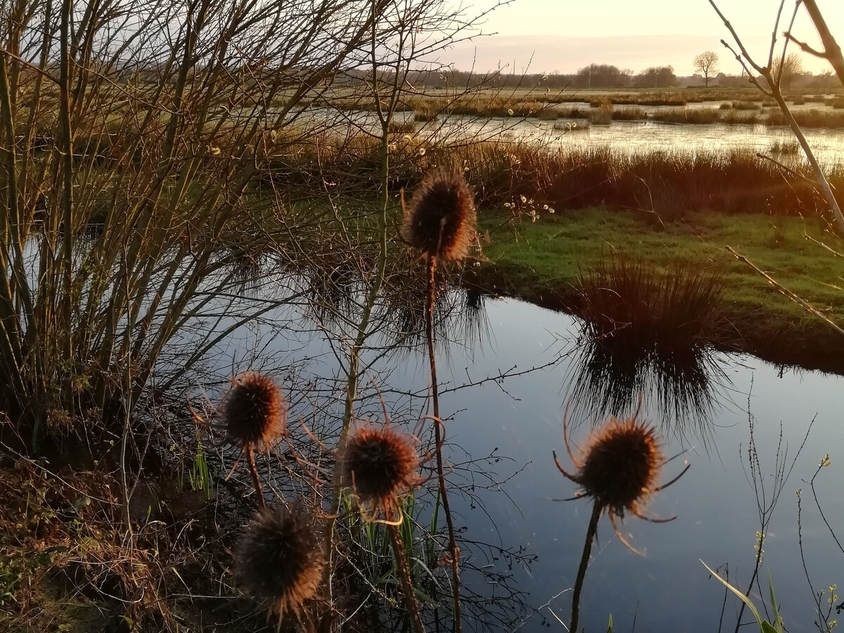 Gîte de charme à Vue, entre Nantes et Côte de Jade - Photo 17