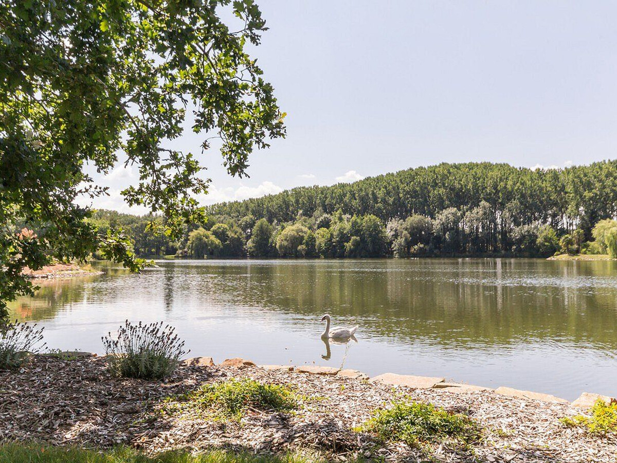 Gîte avec île privative, piscine chauffée et spa à Ligné - Photo 11