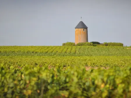 Gîte rénové 3 pers. à Clisson, 100 m gare et commerces - Photo 8