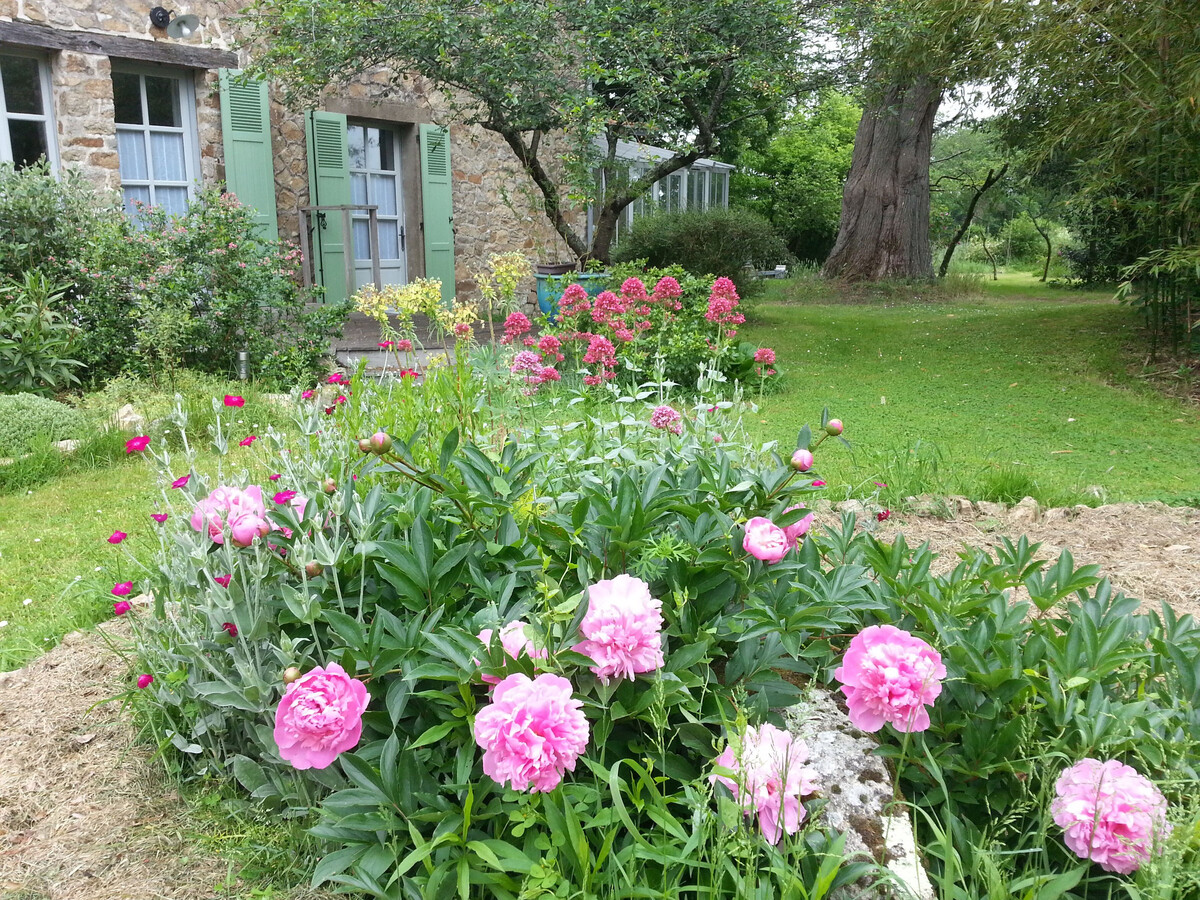 Maison de Maître 1907 rénovée, 1 chambre, jardin 1000m² - Photo 5