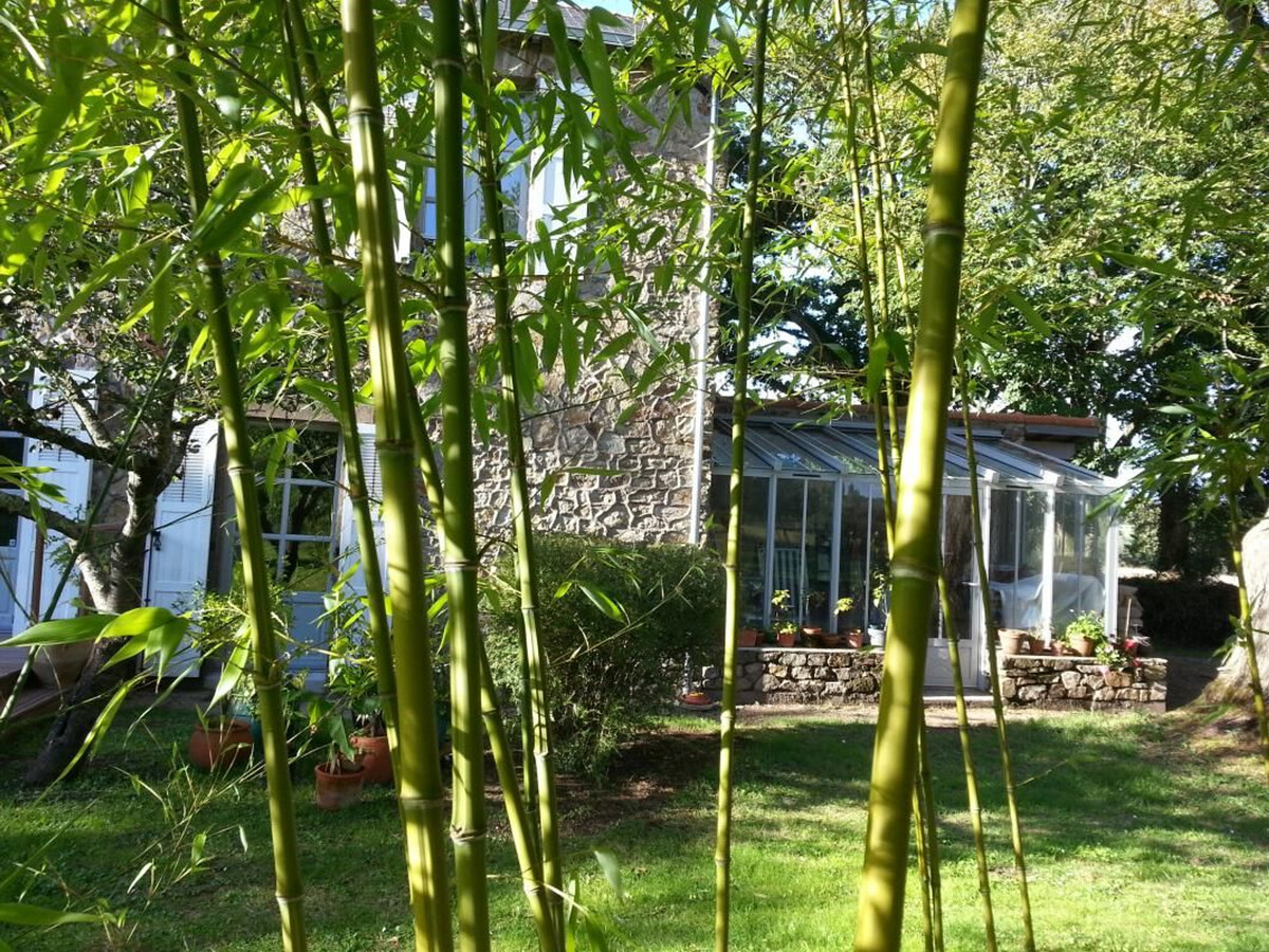 Maison de Maître 1907 rénovée, 1 chambre, jardin 1000m² - Photo 9