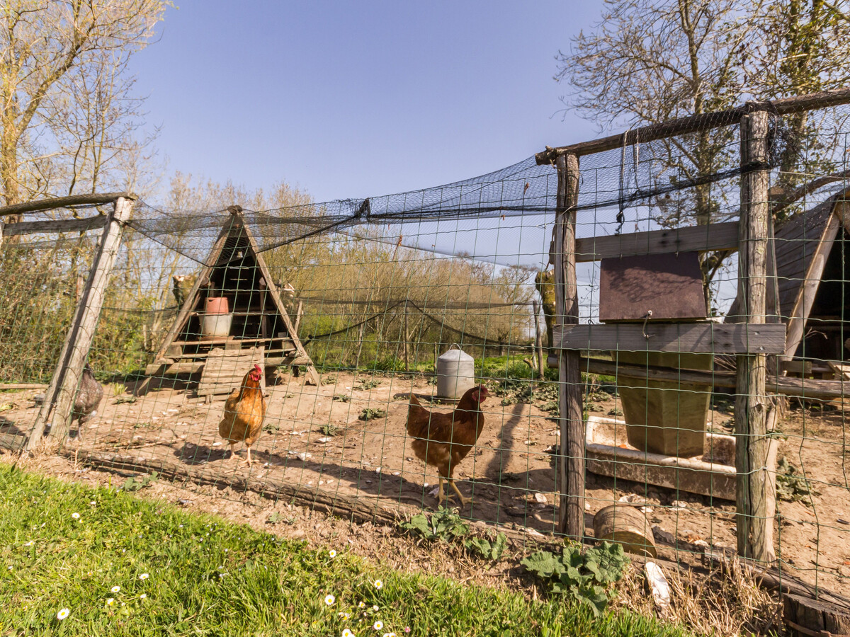 Gîte de ferme rénové, 2 pers., terrain 200 m² à Frossay - Photo 10