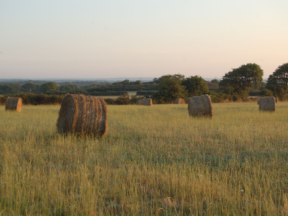 Gîte de ferme rénové, 2 pers., terrain 200 m² à Frossay - Photo 13