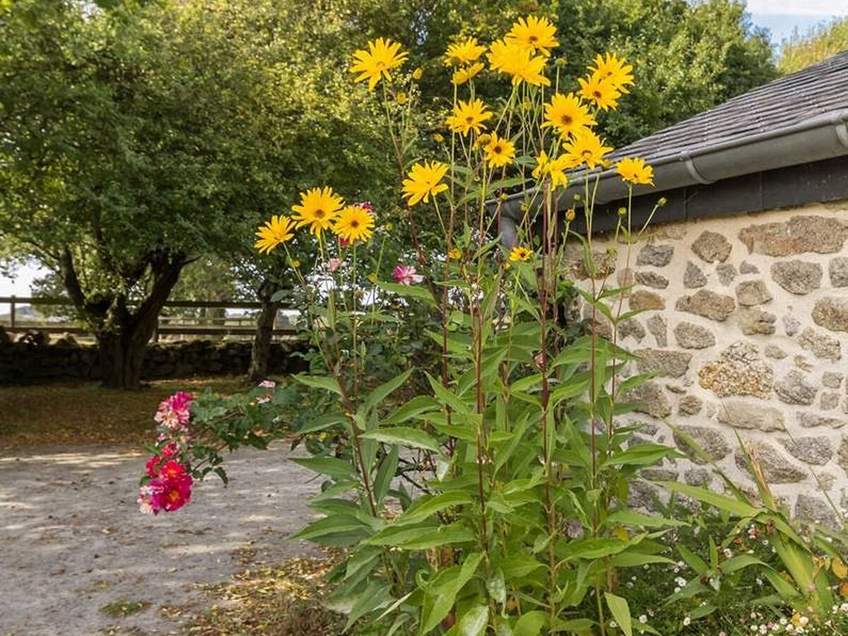 Gîte rénové 3 chambres, jardin 1500 m², 2,5 km plage - Photo 11