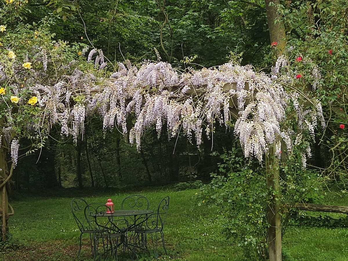 Gîte 6 pers. en parc arboré à Nozay, 3 ch. - Photo 36