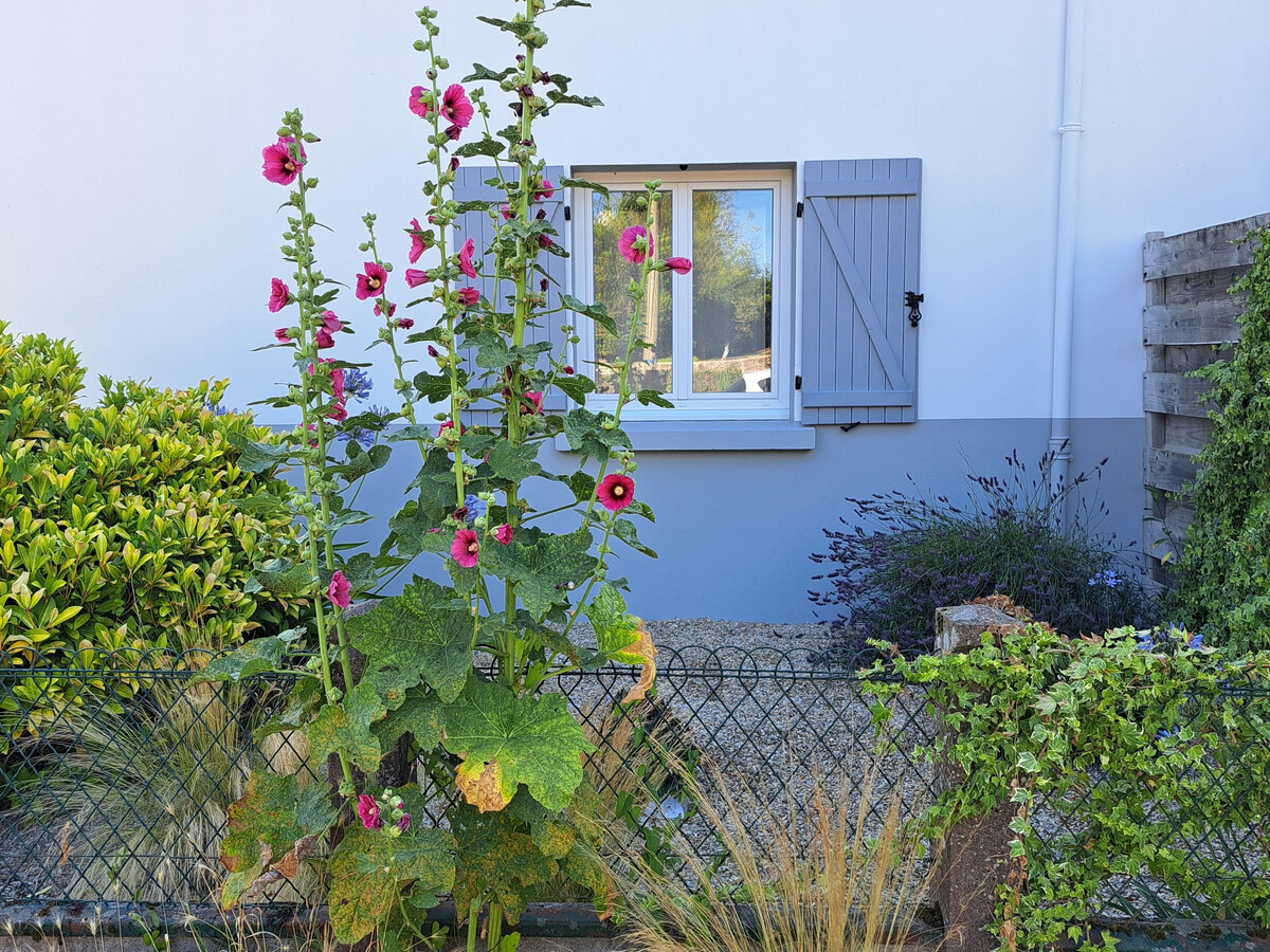 Gîte rénové au cœur de Brière, 4 pers., jardin privé - Photo 1