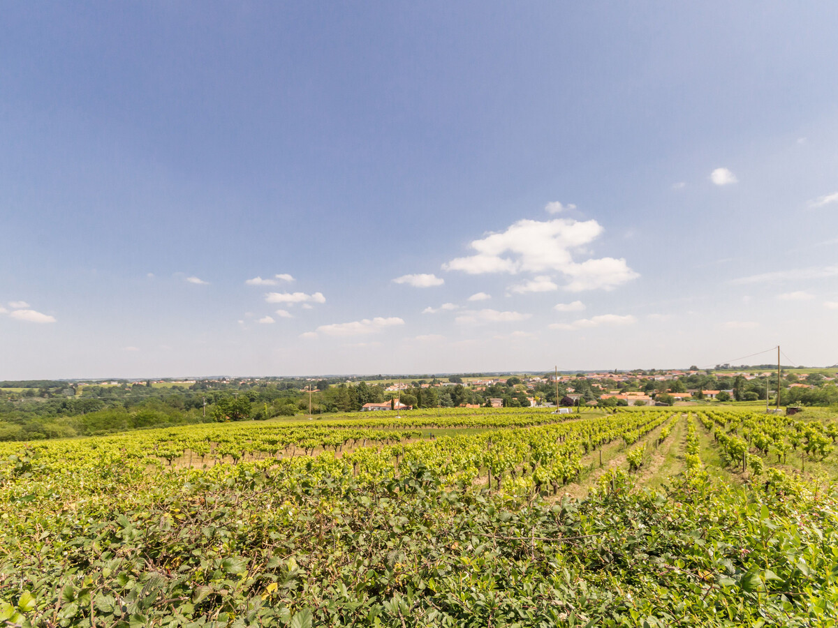 Moulin 18ème siècle avec spa, vignoble à Monnières - Photo 23