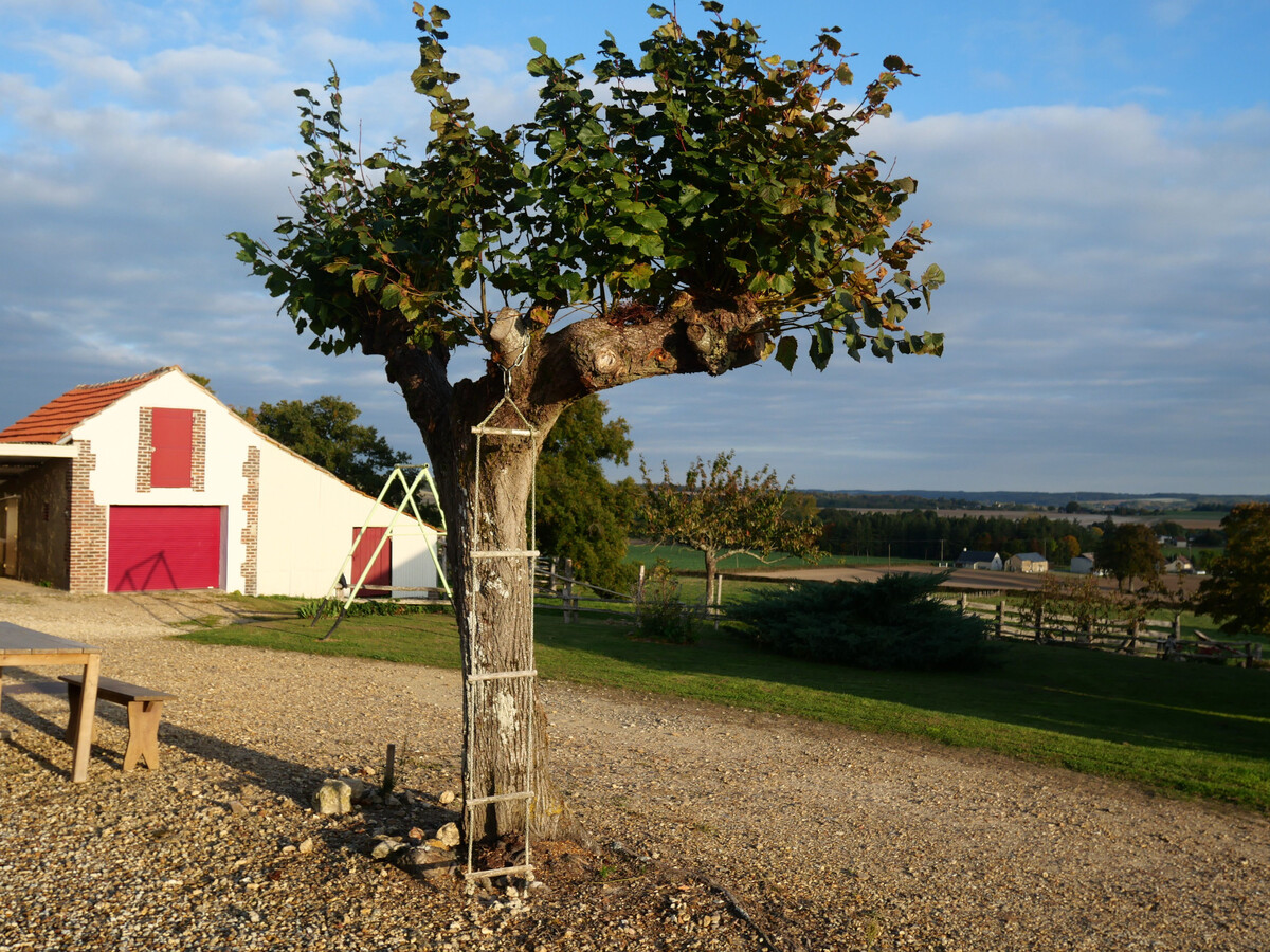 Gîte 8 personnes avec piscine, ping-pong et jardin à Ruillé-sur-Loir - Photo 17