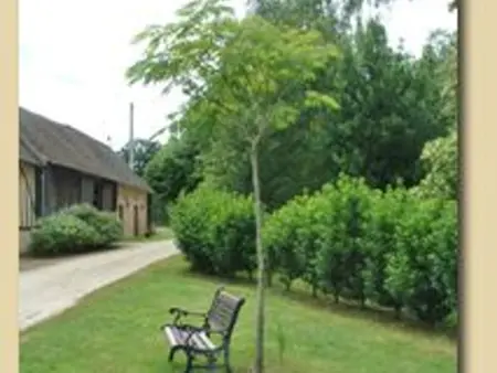 Gîte fermette rénovée 3 ch. avec étang, 5000 m² - Photo 4