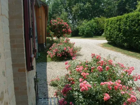 Gîte fermette rénovée 3 ch. avec étang, 5000 m² - Photo 6