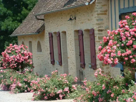 Gîte fermette rénovée 3 ch. avec étang, 5000 m² - Photo 7