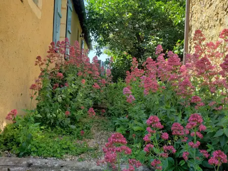 Gîte paysanne XIXe avec terrain de 6000 m² à Asnières - Photo 12