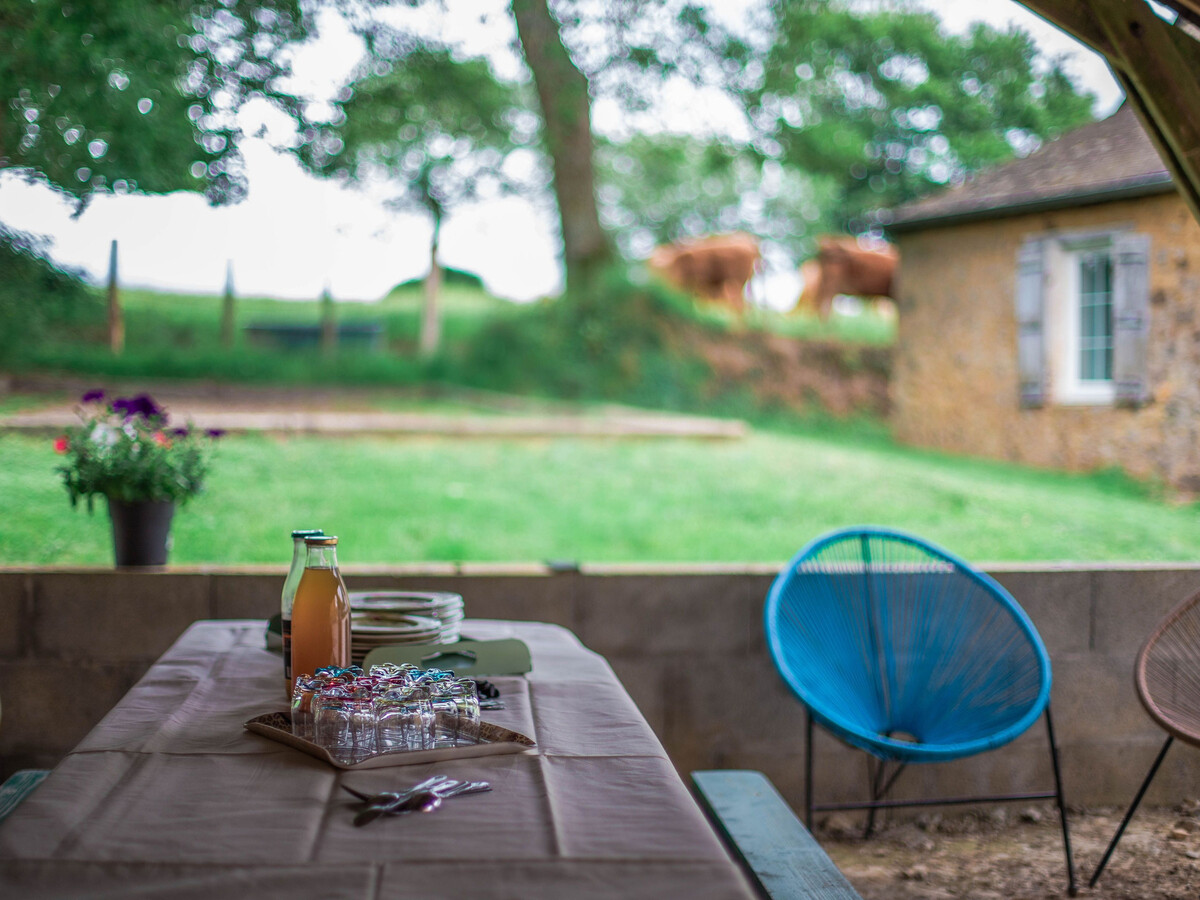 Gîte Le Douet Moreau - 11 pers., cheminée, terrasse - Photo 4