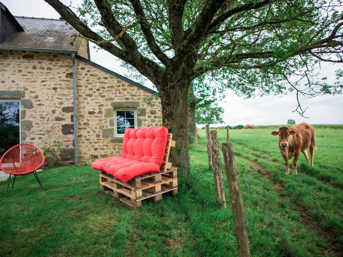 Gîte Le Douet Moreau - 11 pers., cheminée, terrasse - Photo 30
