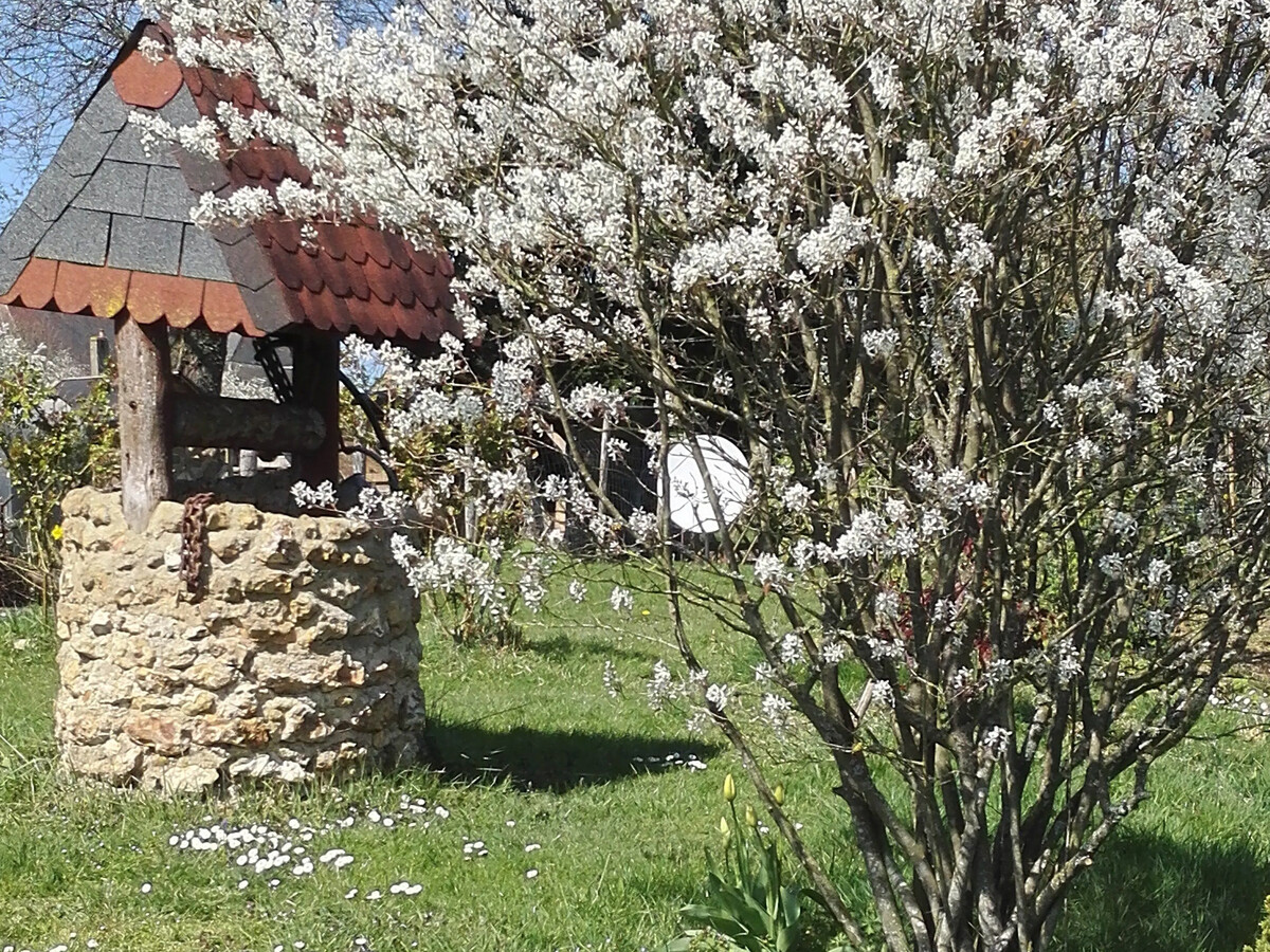 Maison en bois 8 pers. à Thoiré-sur-Dinan, randos et jardin - Photo 15