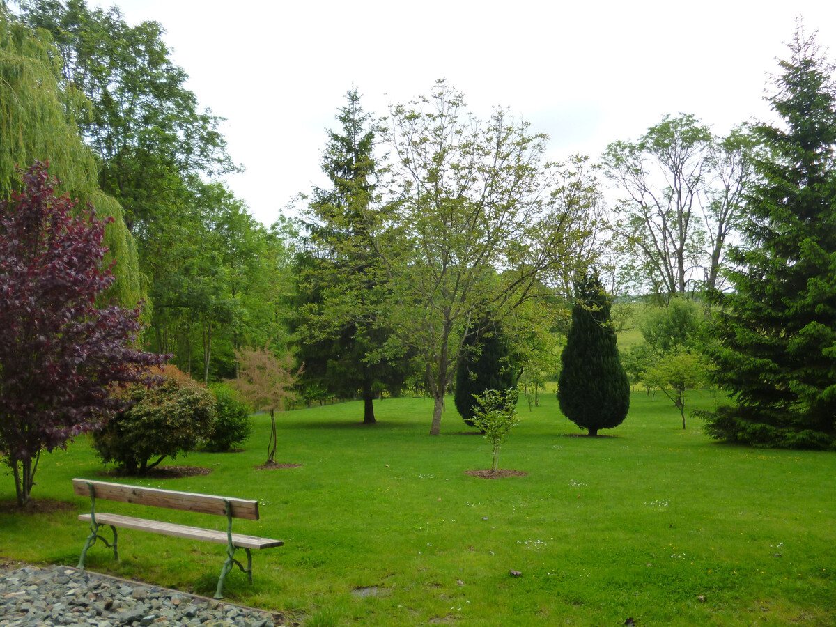 Gîte mitoyen 8 pers. à Coulans-sur-Gée, terrain de boules - Photo 10